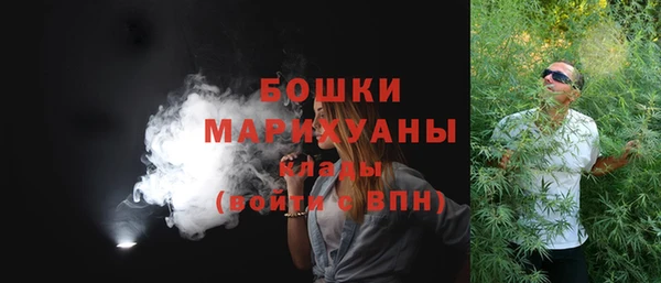 крисы Медвежьегорск