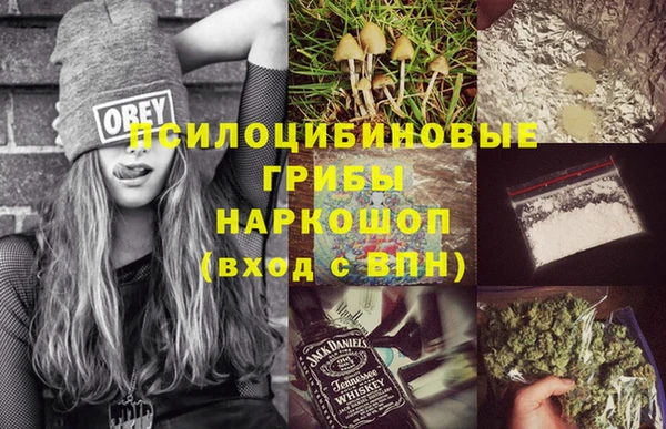 амф Медногорск