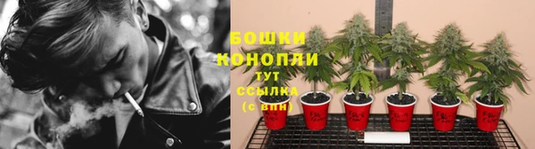 крисы Медвежьегорск