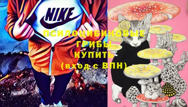 крисы Медвежьегорск