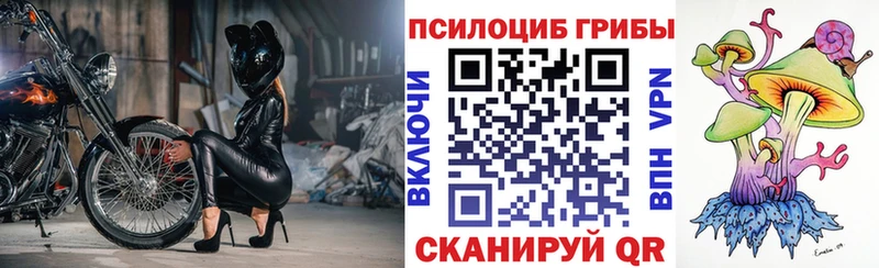 Псилоцибиновые грибы Psilocybine cubensis  где купить наркотик  Златоуст 