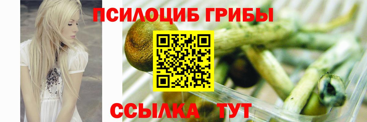 Псилоцибиновые грибы Psilocybine cubensis Златоуст